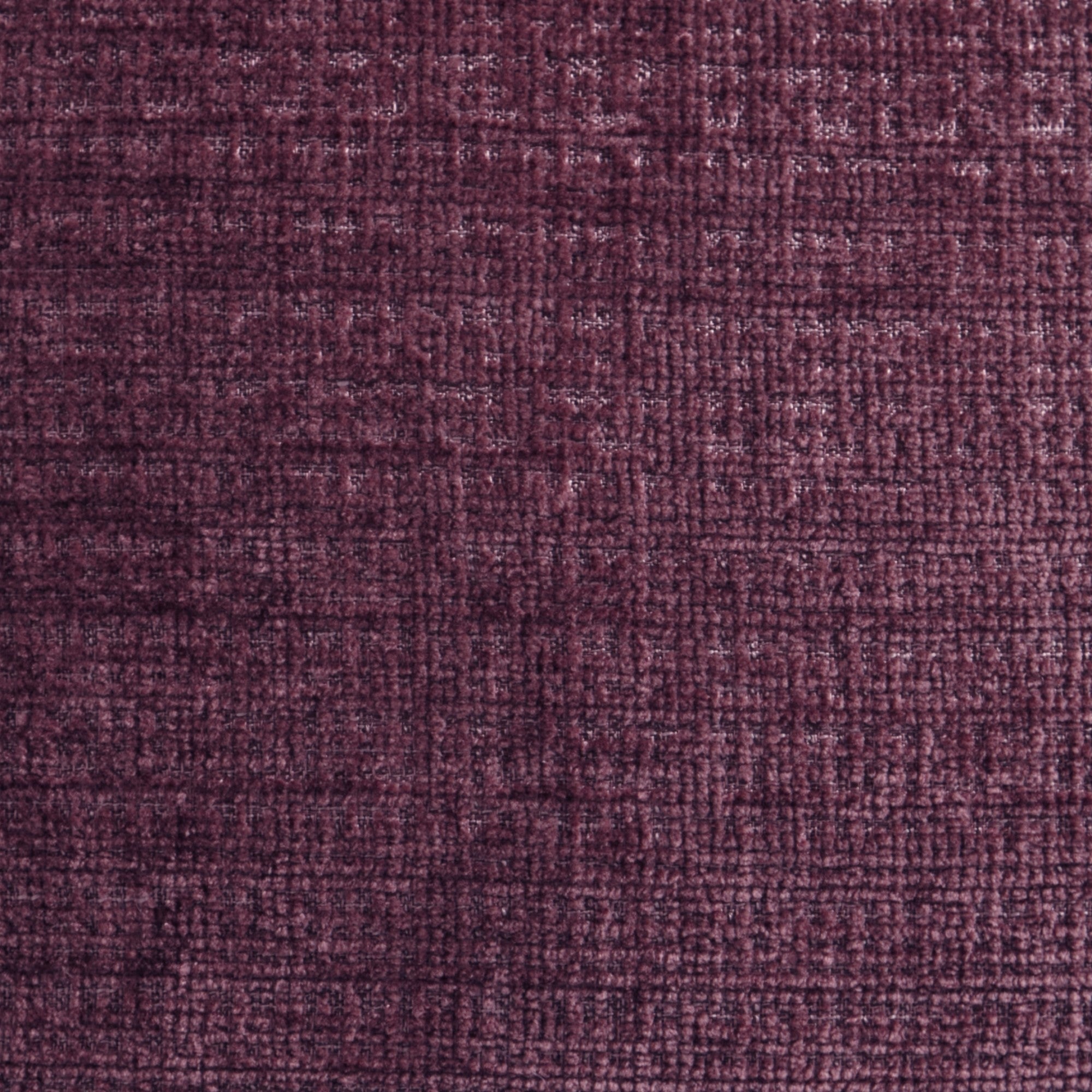 Alba Cushion by Appletree Loft in Wine 43 x 43cm - Cushion - Appletree Loft