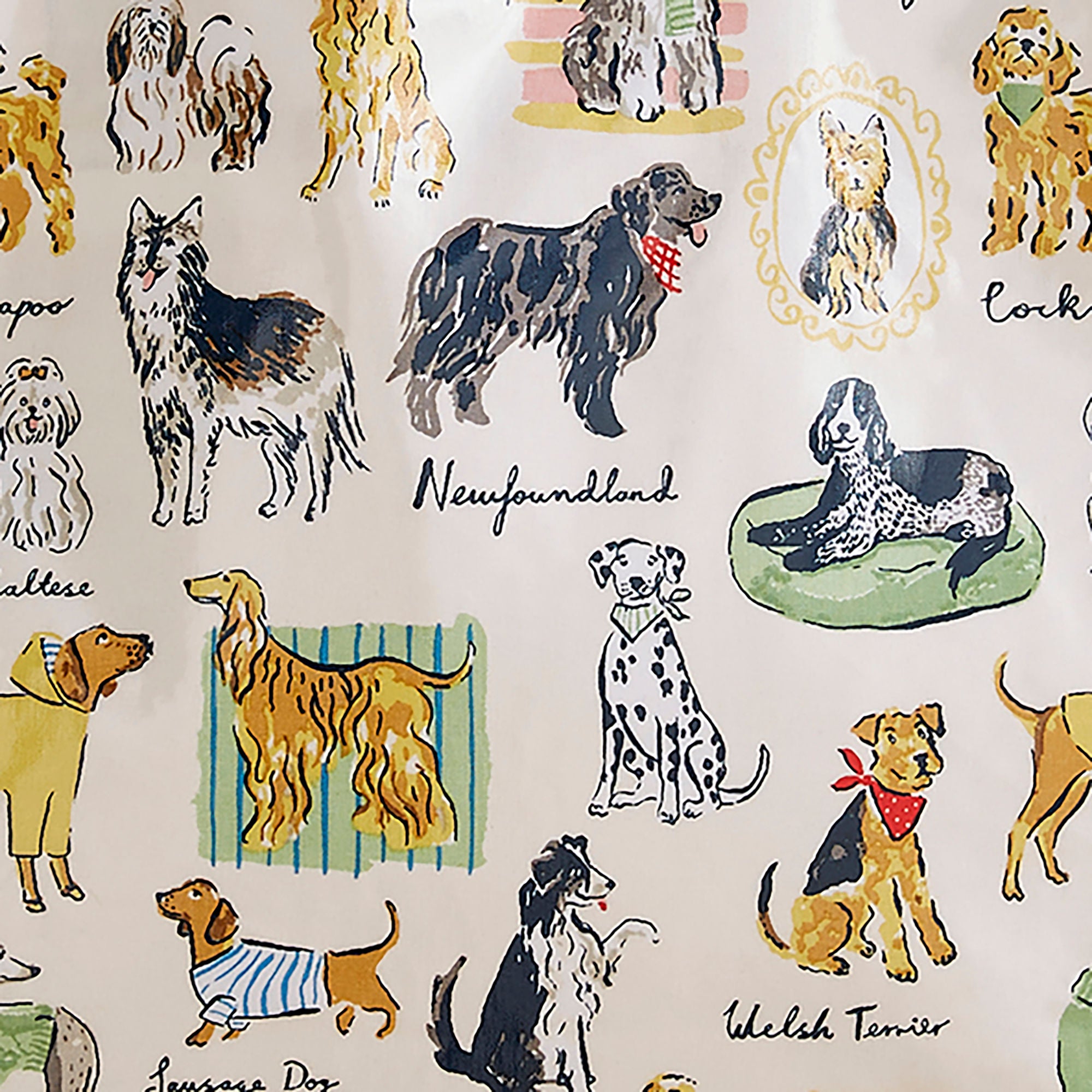 Ulster Weavers Best In Show PVC Coated Tote Bag Medium in Multi - Bag - Ulster Weavers