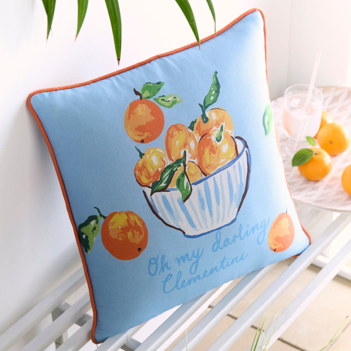 My Darling Clementine Cushion in Multi 43 x 43cm