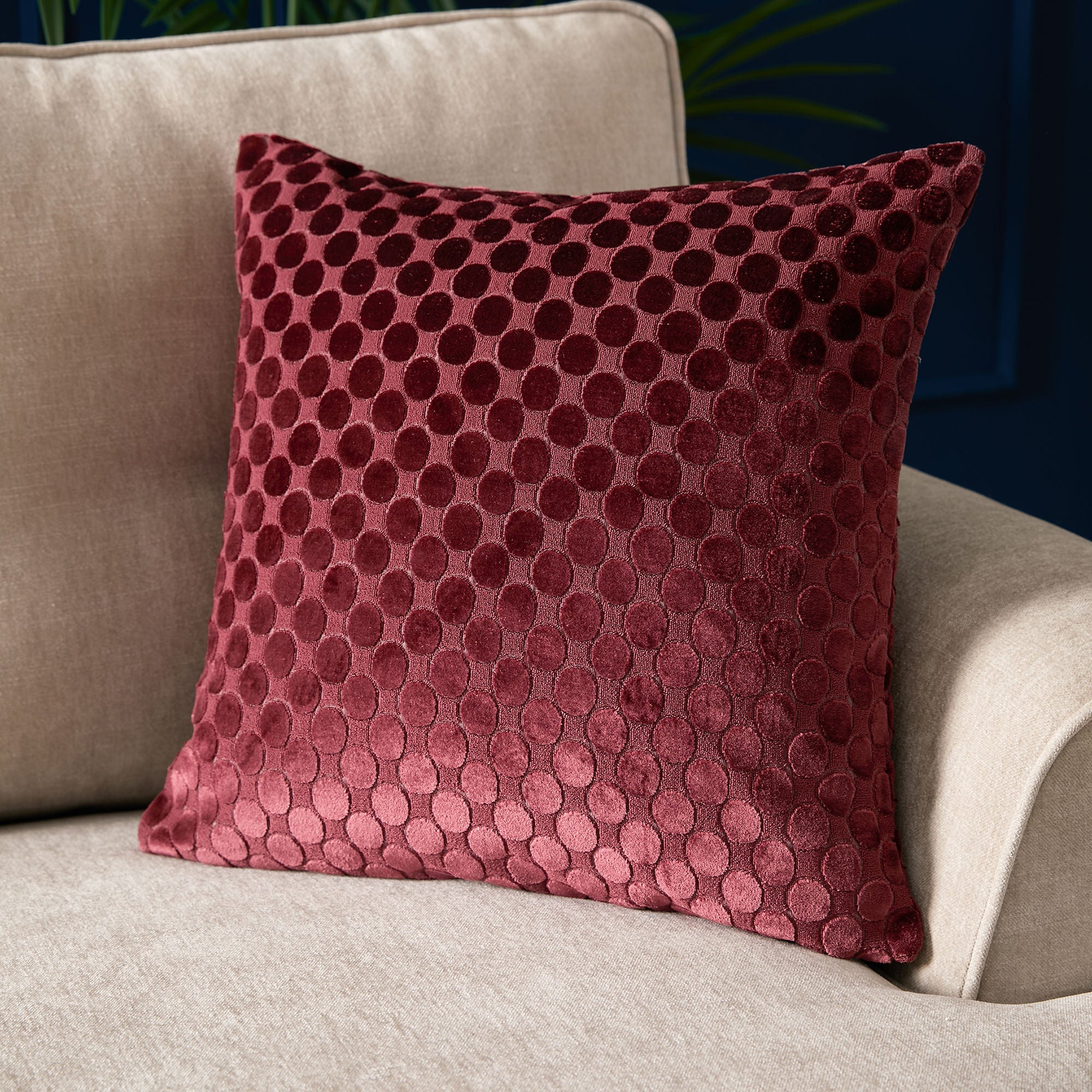 Velvet Spot Cushion in Burgundy 43 x 43cm - Cushion - Soiree